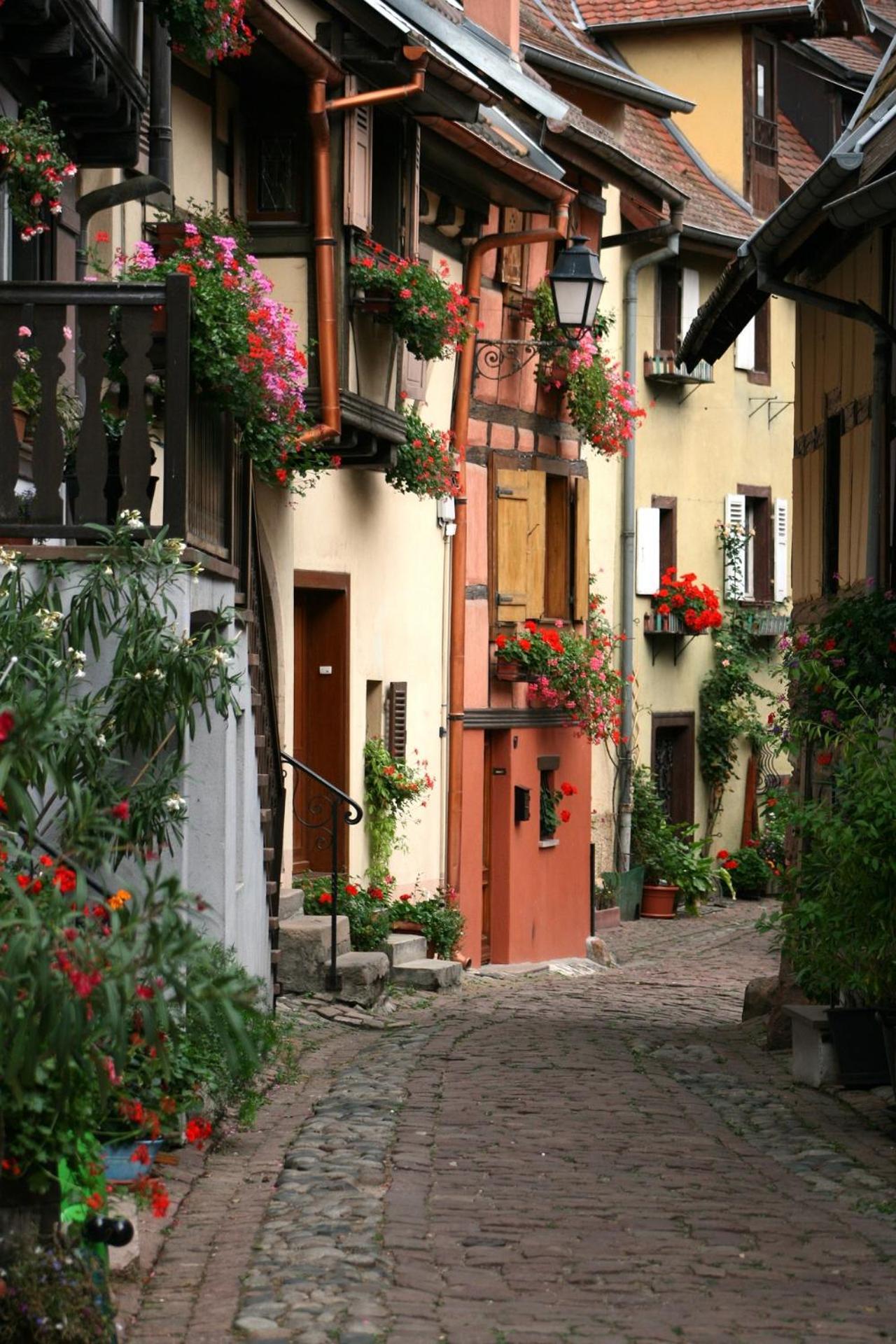 Traditionnel Au Centre Historique D'eguisheim * Eguisheim